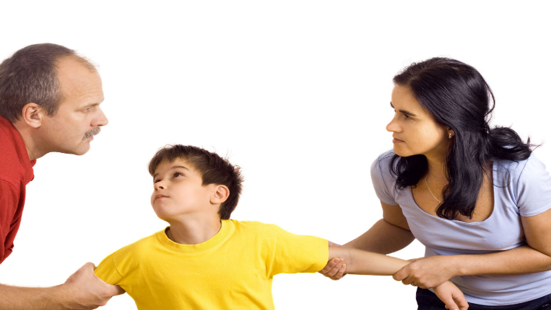 Acquiring Custody of a Minor Through Family Law Lawyers in Rockwall TX